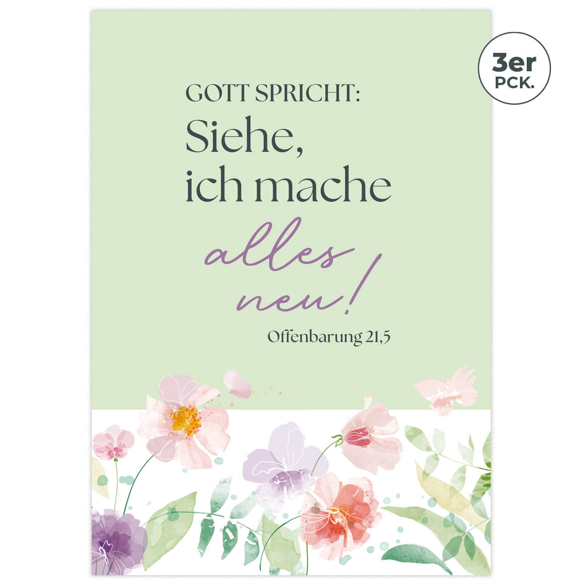 Grusskarte, Post, Buch, Veröffentlichung, Blume