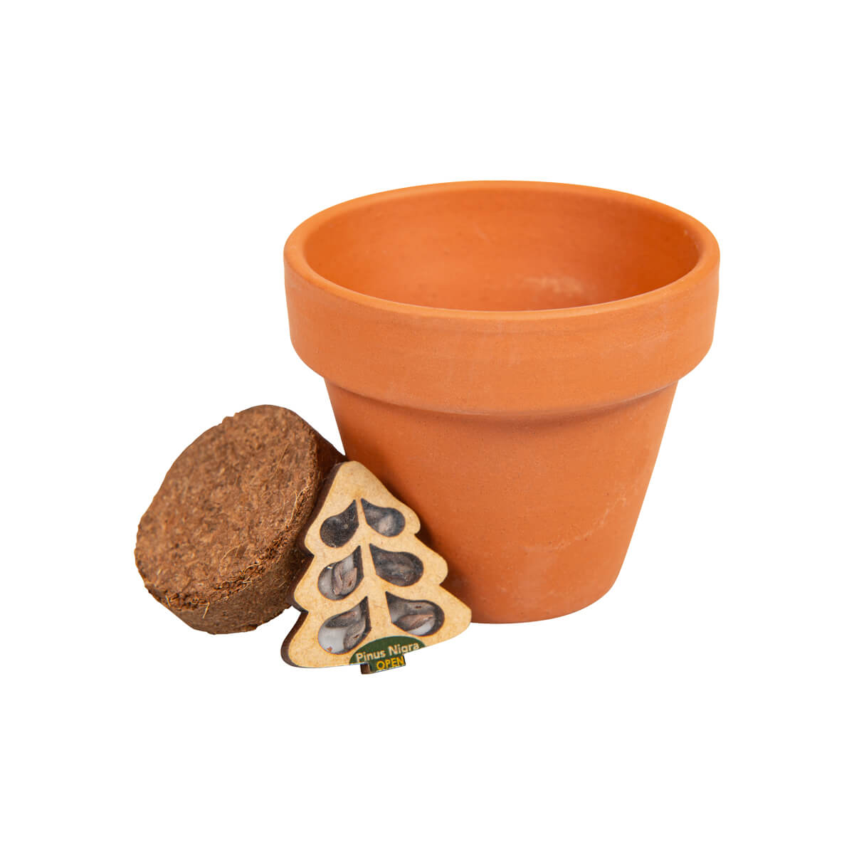 Terracotta pot, Pflanzgefäß, Torf-Substratplatte, Mini-Topf, Saatgutstarterset