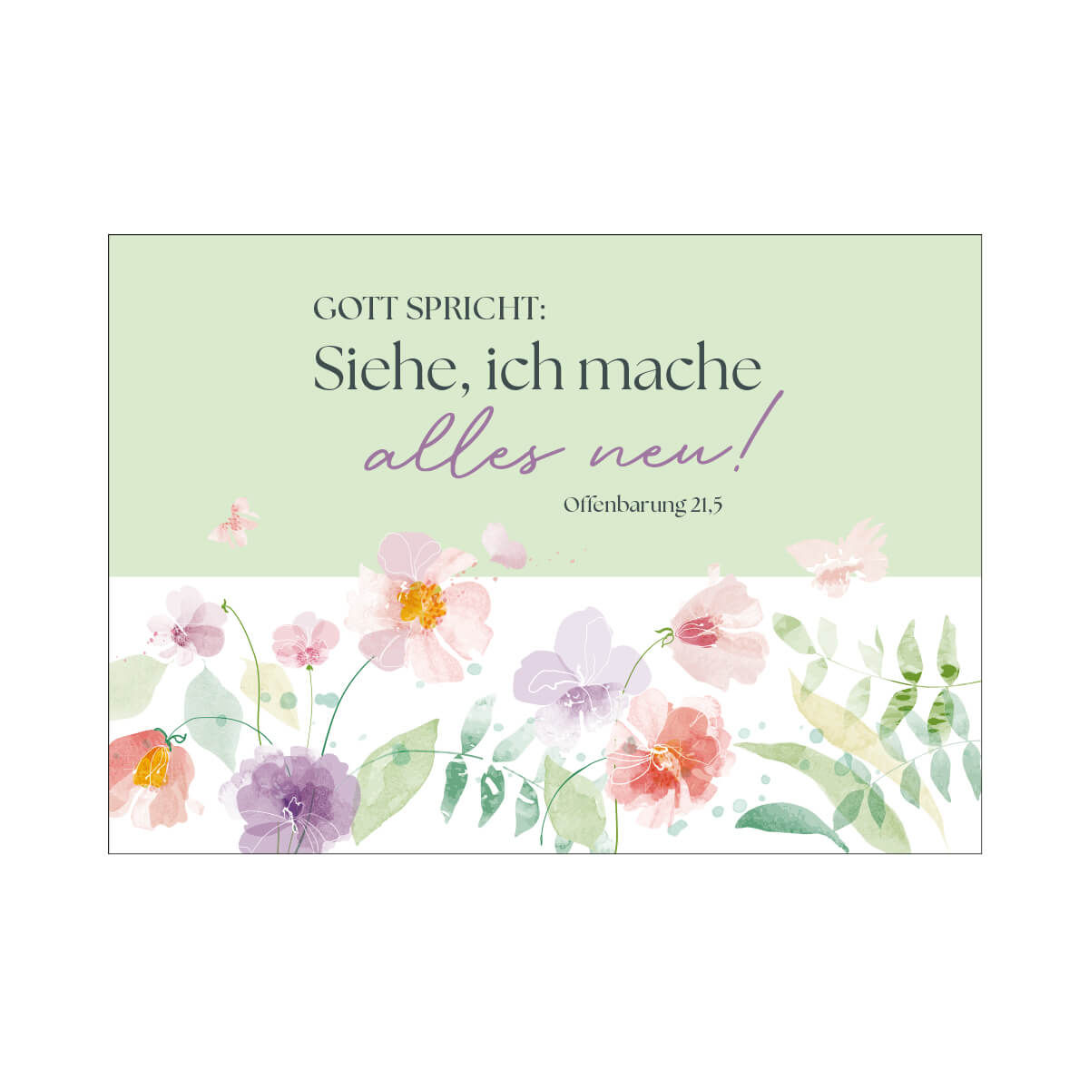 Grusskarte, Post, Blume, Florales Design, Blütenblatt